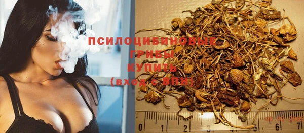 тгк Бугульма