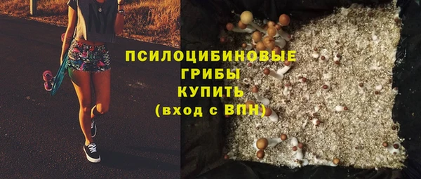 круглые Бородино
